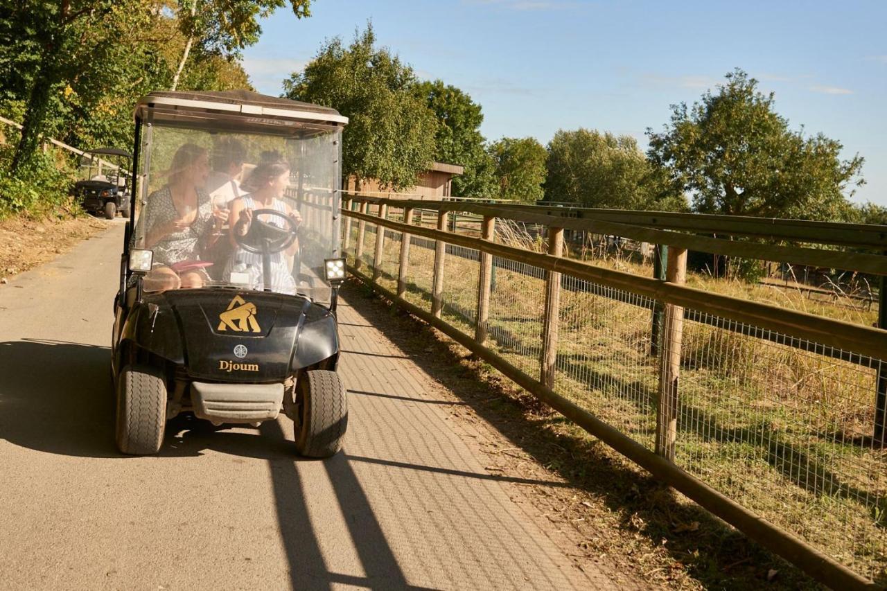 Port Lympne Mansion Hotel Zewnętrze zdjęcie