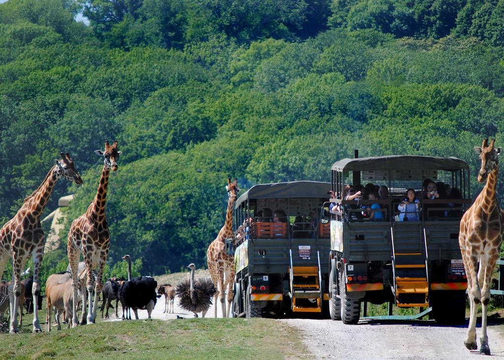 Port Lympne Mansion Hotel Zewnętrze zdjęcie