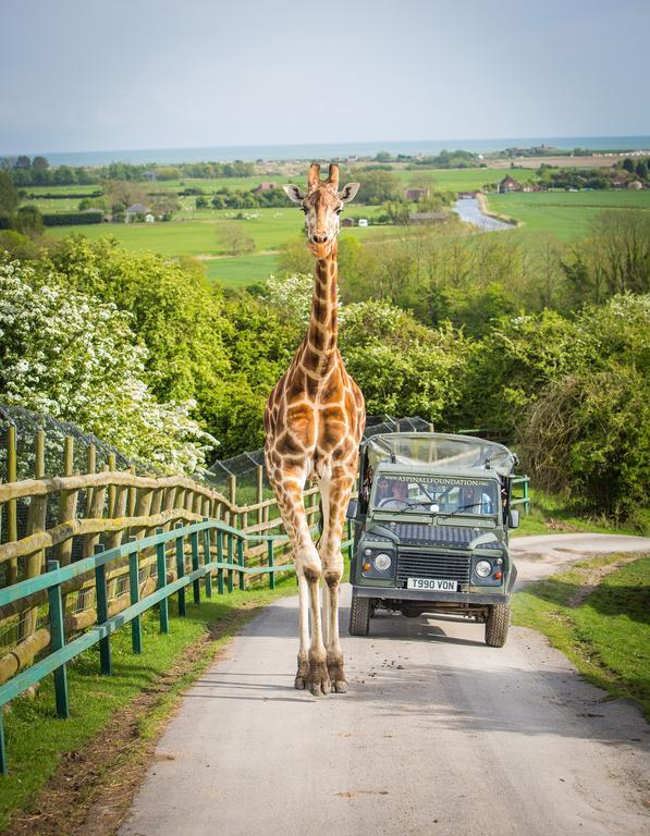Port Lympne Mansion Hotel Zewnętrze zdjęcie